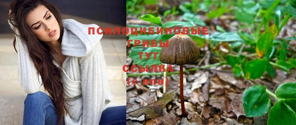 ALPHA PVP Арсеньев
